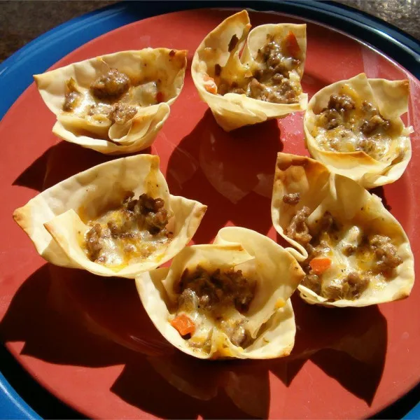 Aperitief Won Ton Wrapper