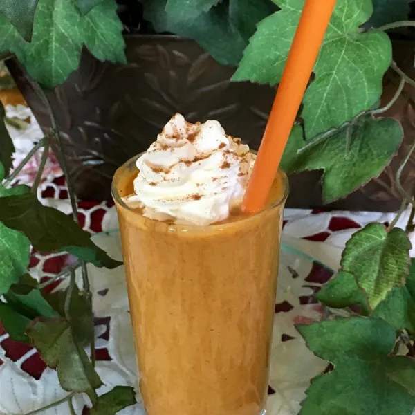 Dairyvrije Pompoen Specerijen Smoothie