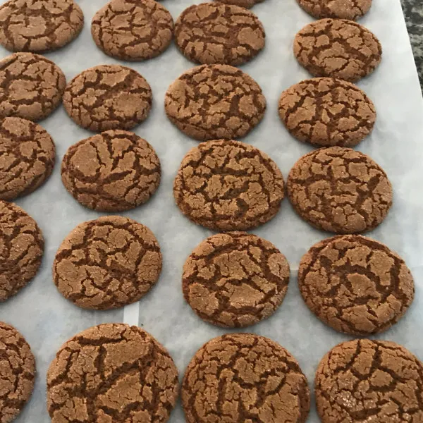 Mama's Gember Spiesjes