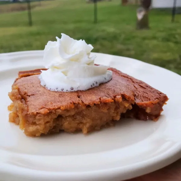 Persimmonpudding