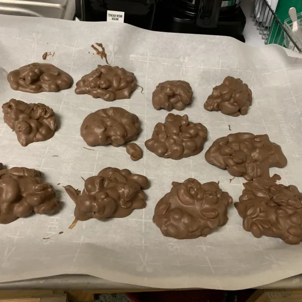 Chocolade Bedekte Pinda's Van Alexander