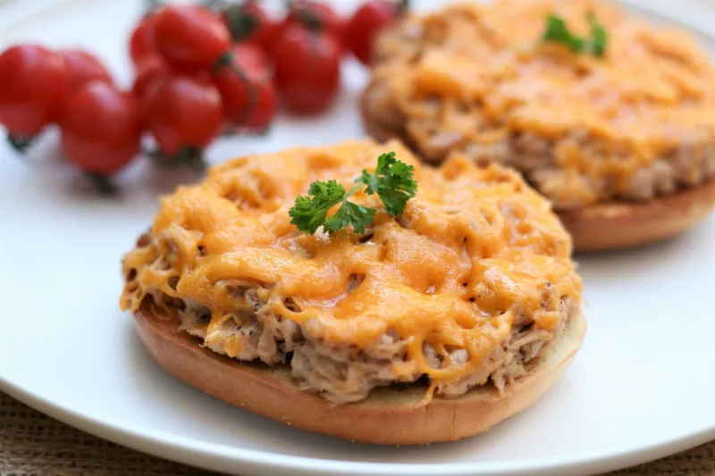 Snelle Gesmolten Tonijn Bagel