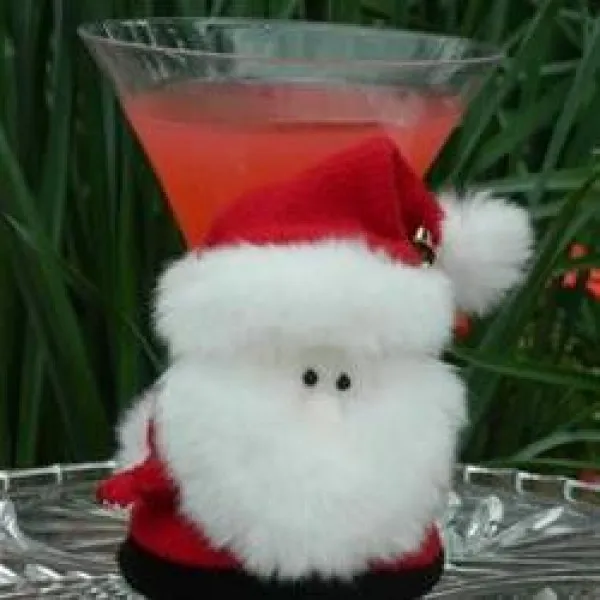 De Kleine Helper Van Santa