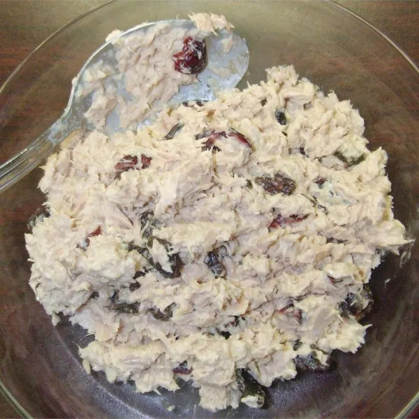 Willekeurige Tonijnsalade