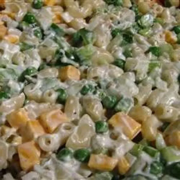Cheddar En Macaroni Salade