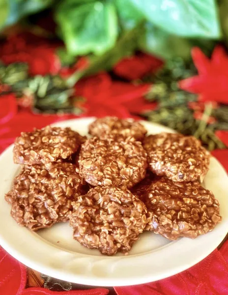 Klassieke Geen-Bakken Koekjes Met Kokos