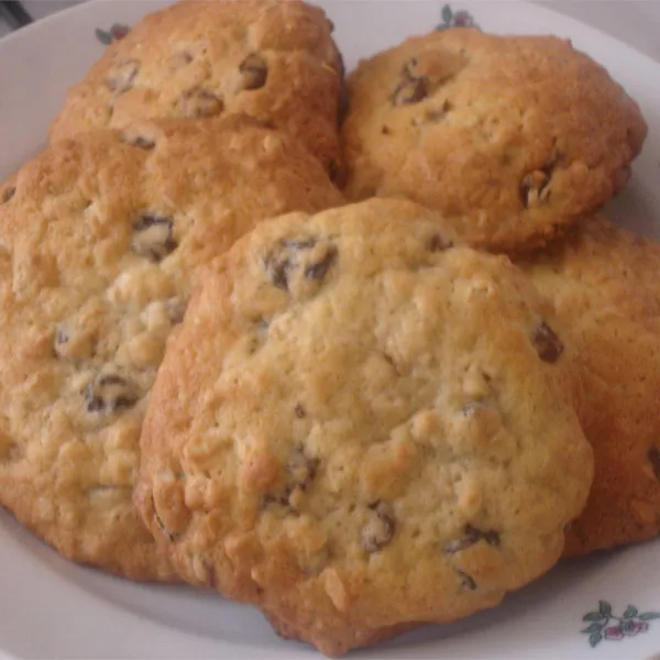Havermoutkoekjes met Rozijnen III