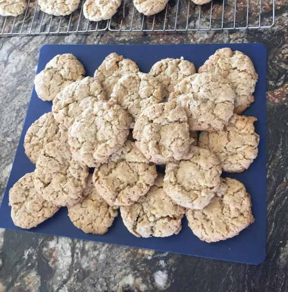 Havermout En Kokos Koekjes I