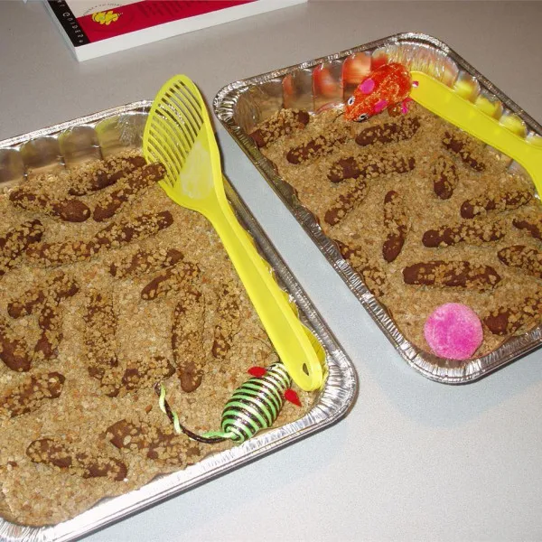 Kattenpoep Koekjes I