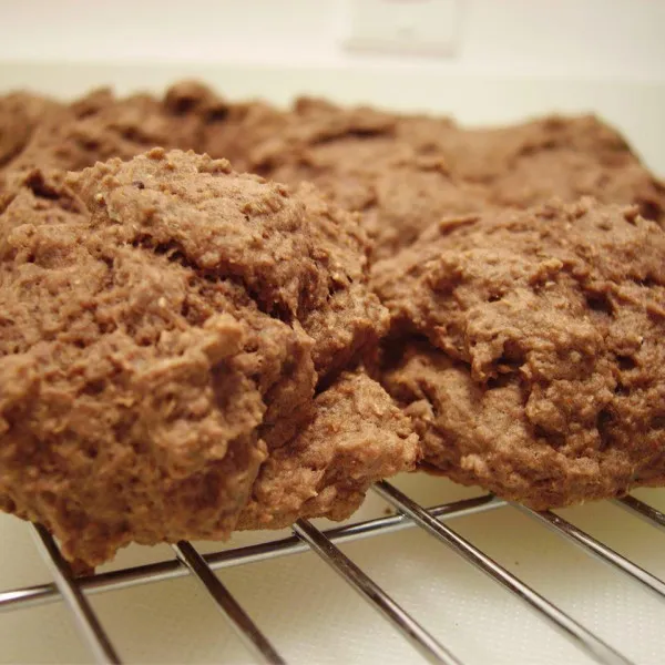 Appelmoes En Cacao Koekjes