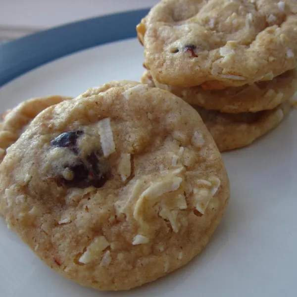 Kokos- en Rozijnenkoekjes