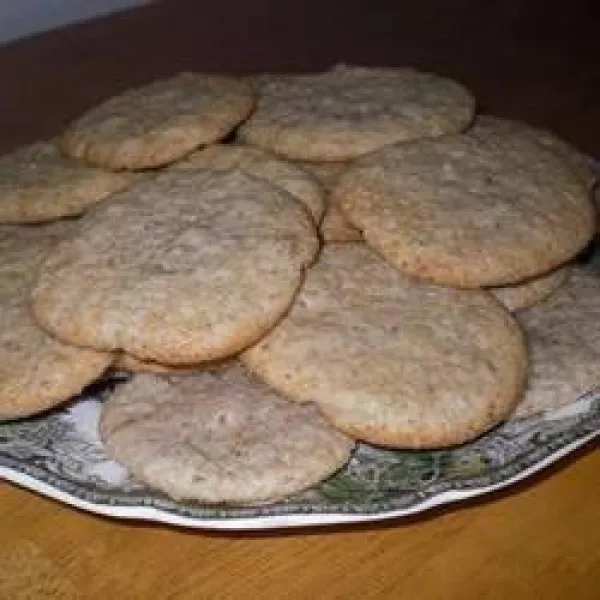 Nederlandse IJsdoos Koekjes