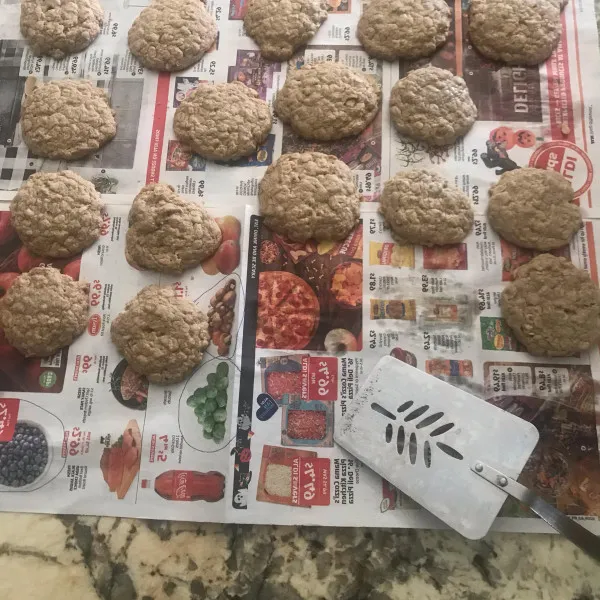 Pittige Havermoutkoekjes Met Rozijnen