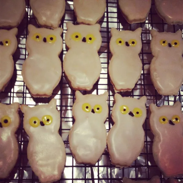 Uitsteekkoekjes