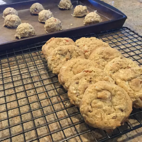 Sinaasappel Schijfjes Koekjes II