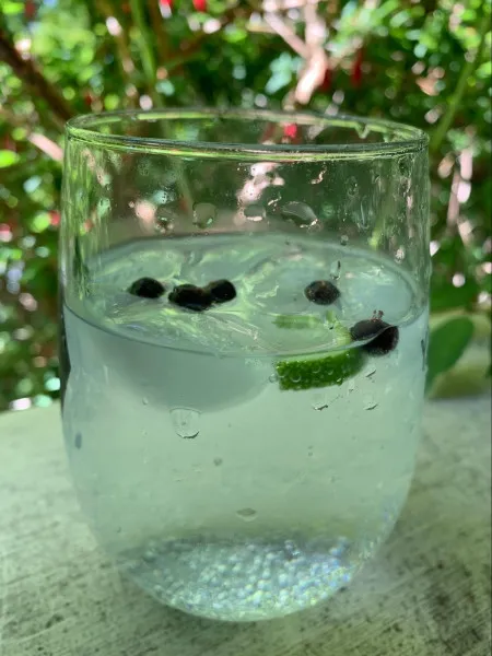 Gin en Tonic met Limoen en Jeneverbes