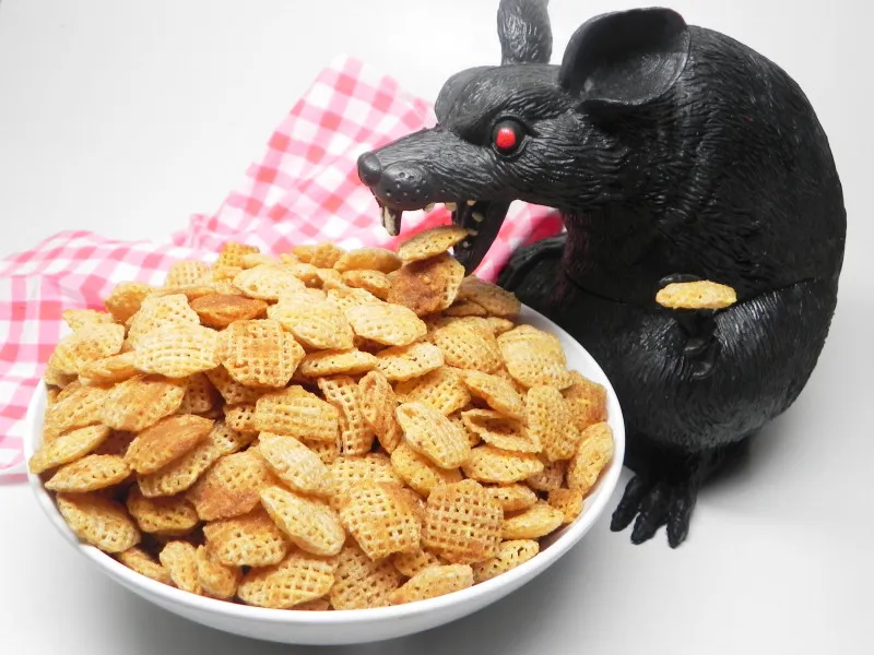 De Knapperige Kerst Snack