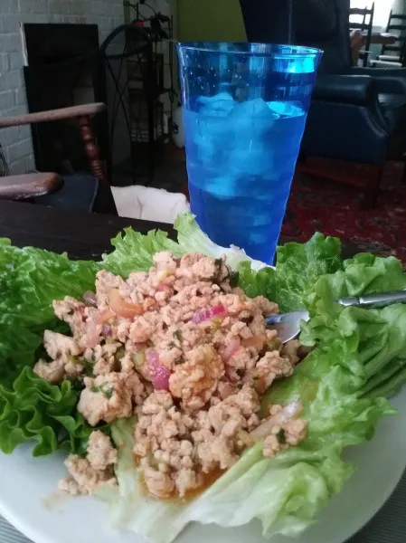 Thaise Kip Larb