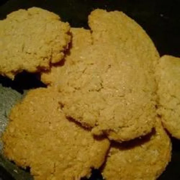 De Beste Havermoutkoekjes Van Selma