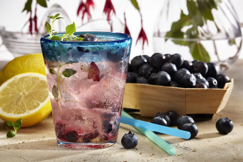 Stevia Bosbessen Limonade