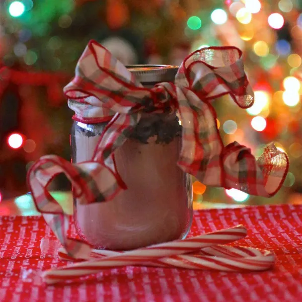 Heet Cacaomengsel