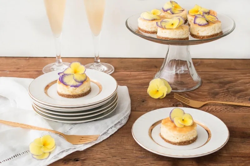 Mini Cheesecakes Van Citroen En Mascarpone