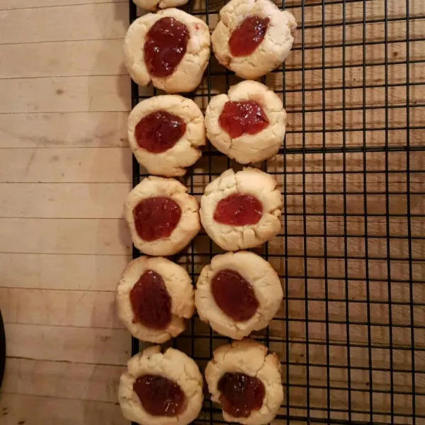 Vogelnestjes IV
