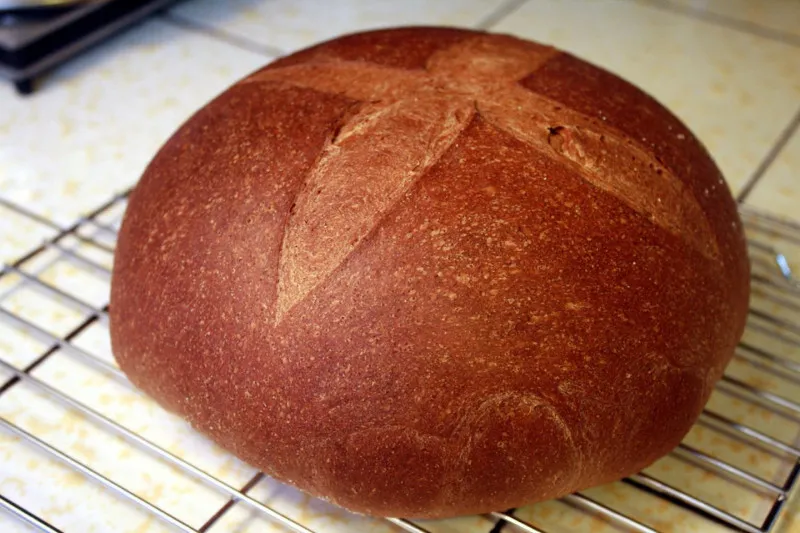 Anadama Brood