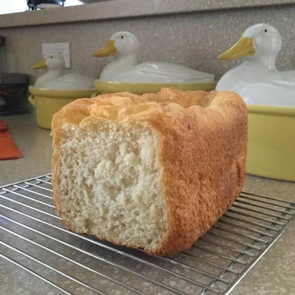 Wit Brood I