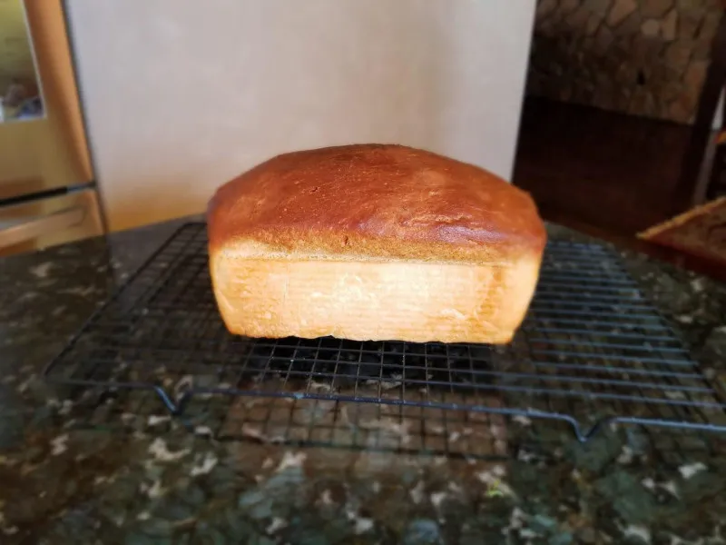 Witbrood met Paneermeel