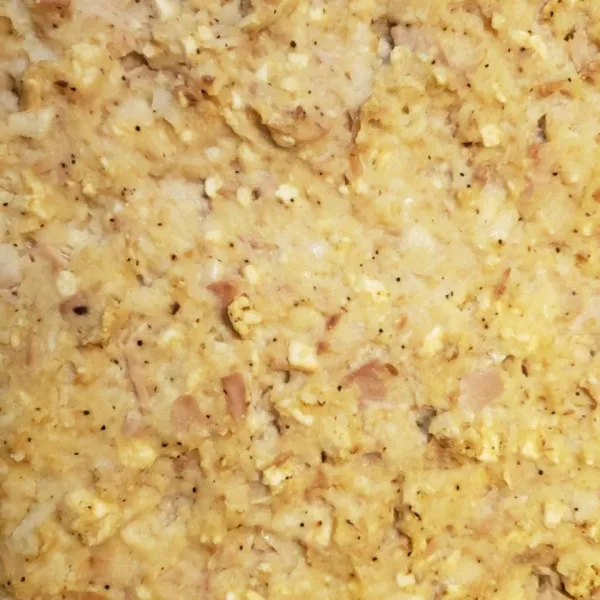 Tonijnbrood