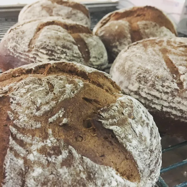 Zweedse Roggebrood