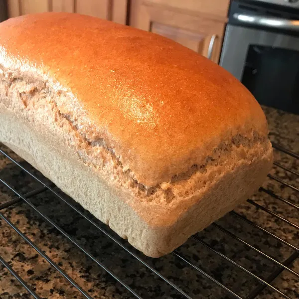 Volkorenbrood Met Honing