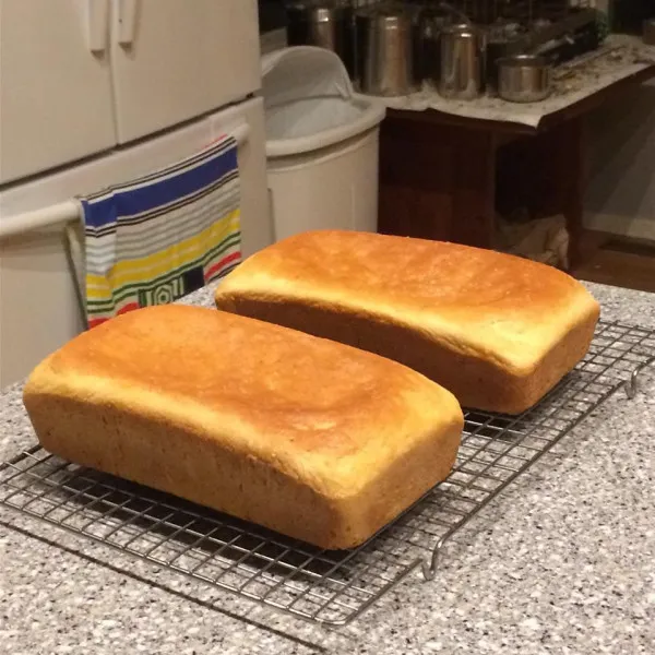Huisgemaakt brood met gist