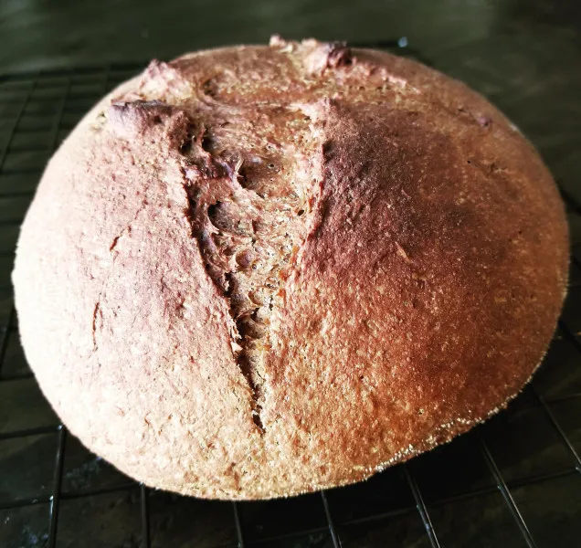 Russisch Zwart Brood