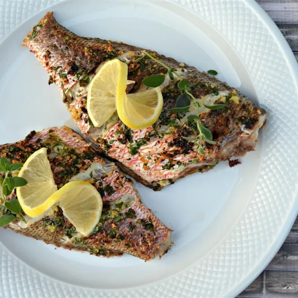 Mediterrane Rode Snapper