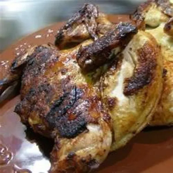 Gegrilde Kip Met Bier