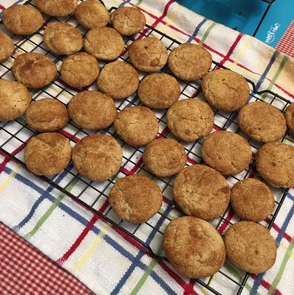 Volkoren Snickerdoodles II