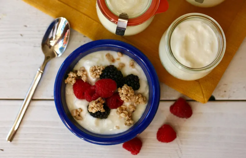 Traditionele Huisgemaakte Yoghurt