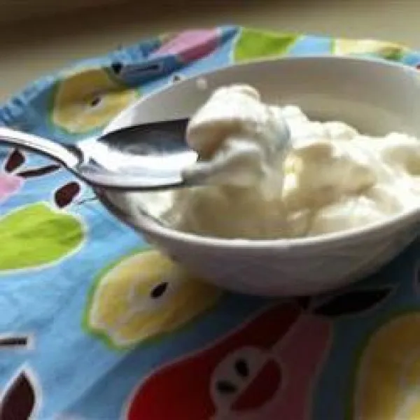 Huisgemaakte Griekse Yoghurt Met Honing